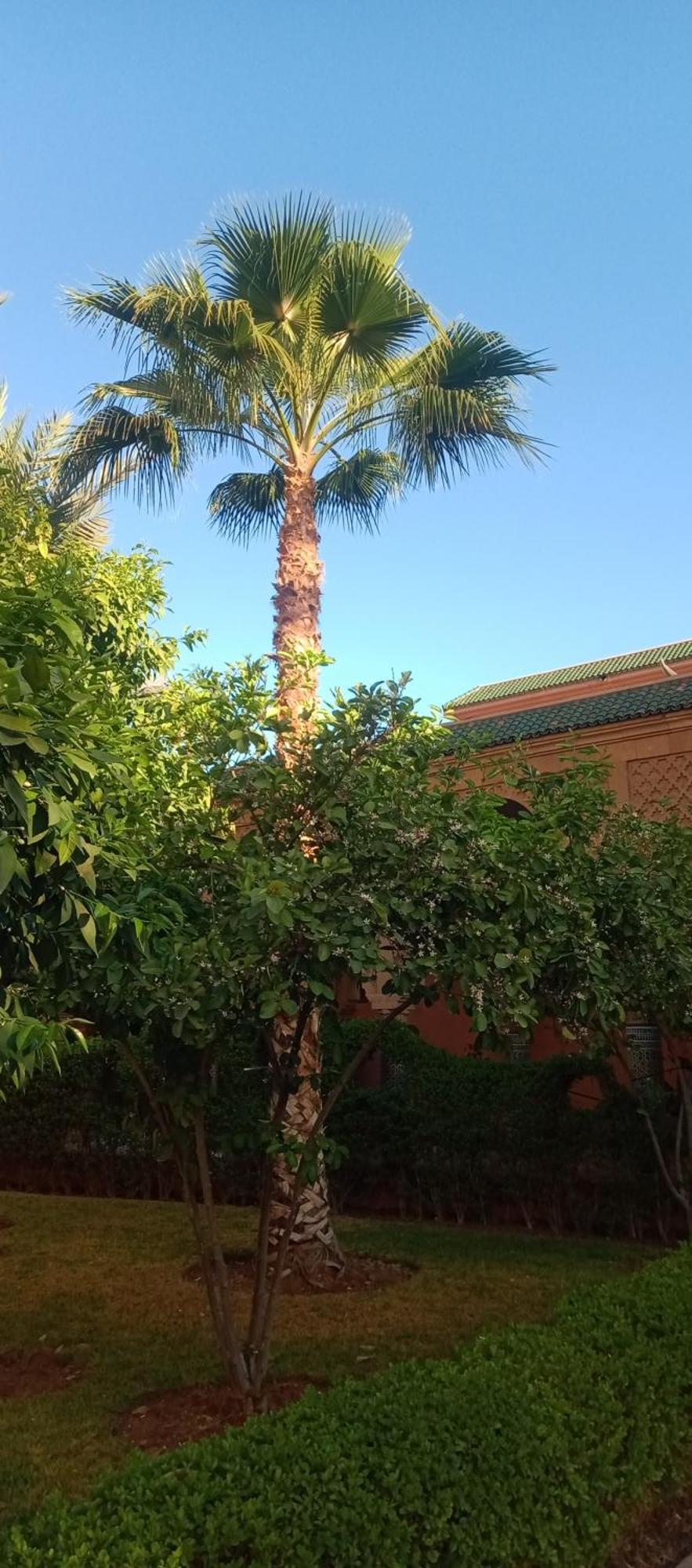 Nour Resorts-riad Nour Travel Vakantiehuis Marrakesh